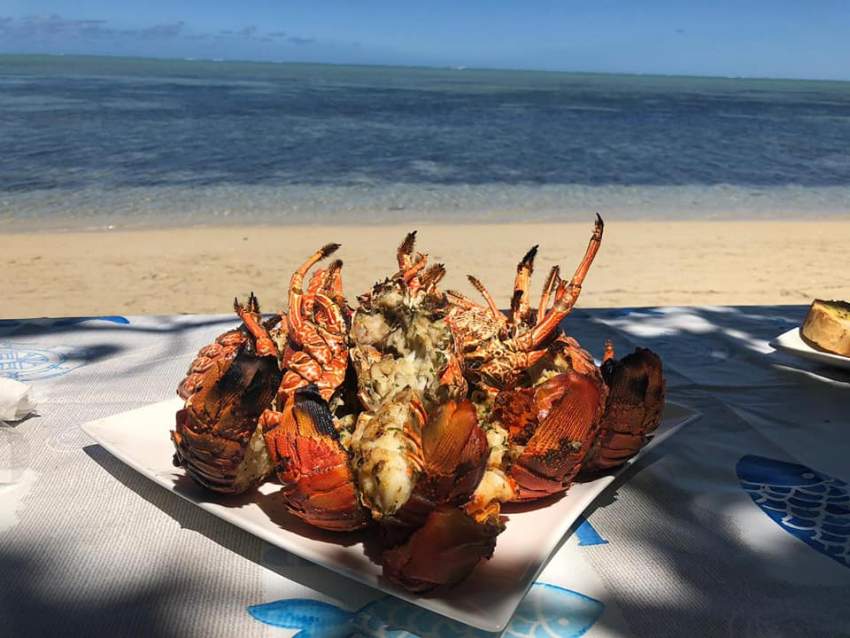Small game fishing with barbecue on Ile aux Benitiers  - 0 - Fishing Trips  on Aster Vender