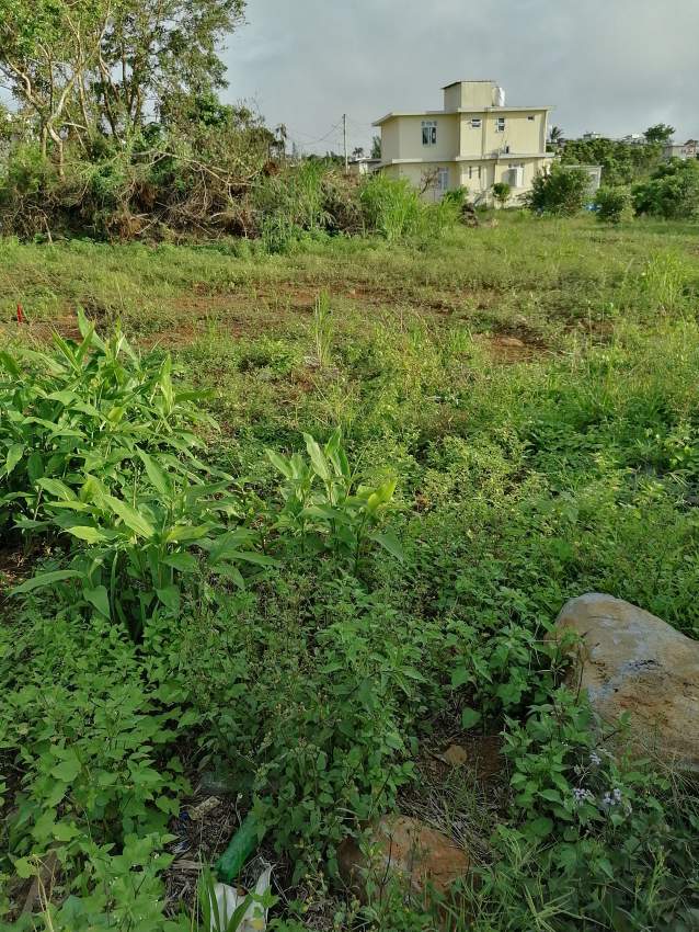 Land for sale at camp fouquereaux - 0 - Land  on Aster Vender