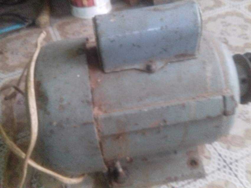 Dinamour 1 cheval a vendre on Aster Vender