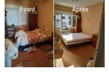 Services de nettoyage - 0 - Cleaning services  on Aster Vender