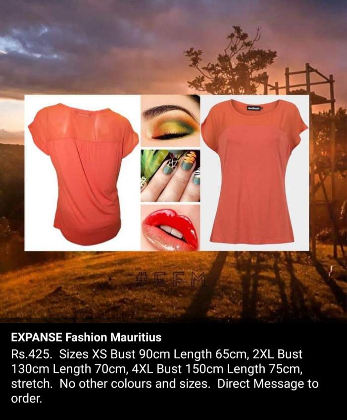 Women’s Casual Chic Big Sale Tops  on Aster Vender