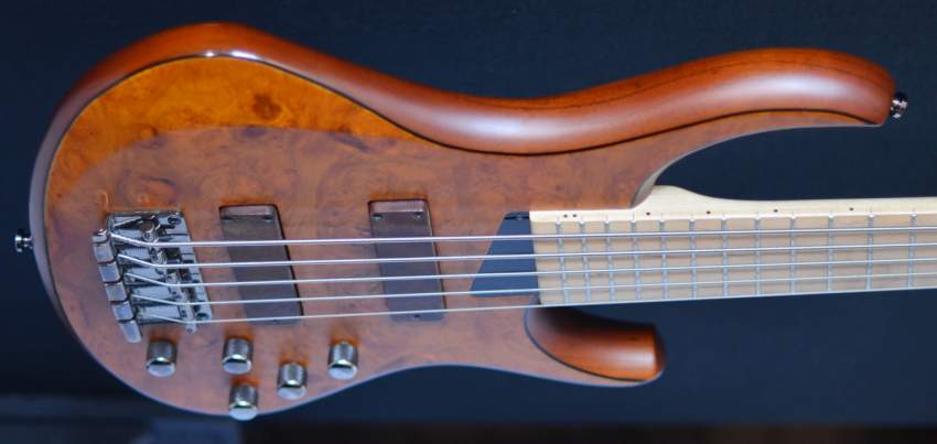 GUITARE BASSE MTD 5 STRING - 6 - Bass guitar  on Aster Vender