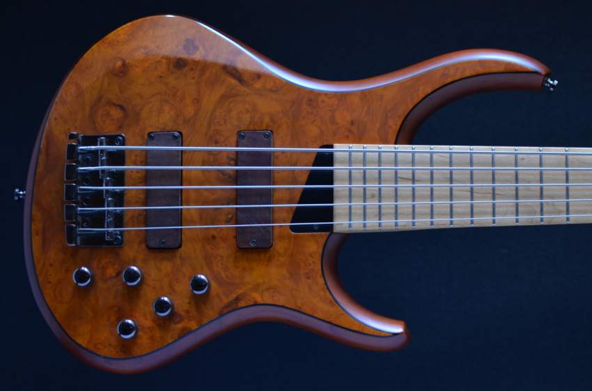 GUITARE BASSE MTD 5 STRING - 5 - Bass guitar  on Aster Vender