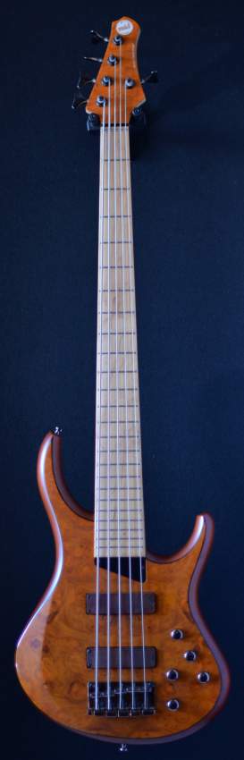 GUITARE BASSE MTD 5 STRING on Aster Vender
