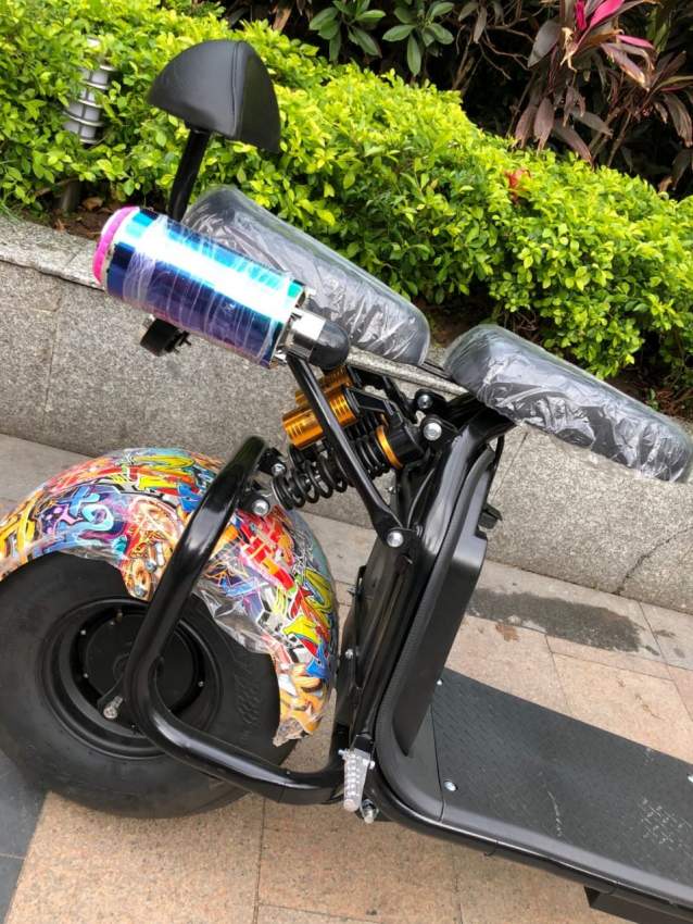 Electric bike - 1 - Electric Bike  on Aster Vender