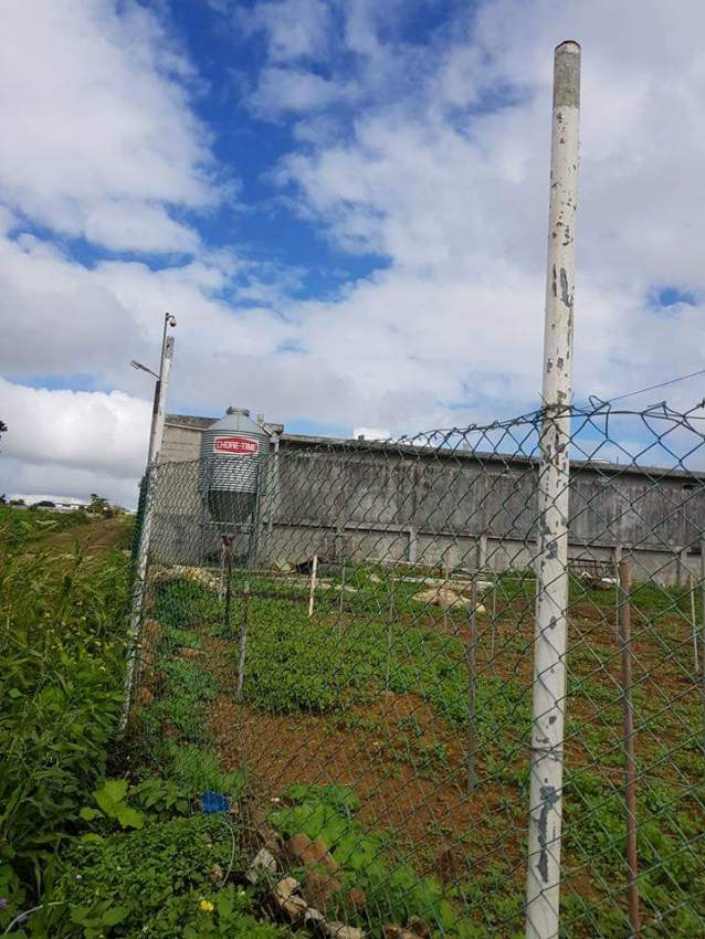 Poultry for rent at Vacoas - 2 - Commercial Space  on Aster Vender