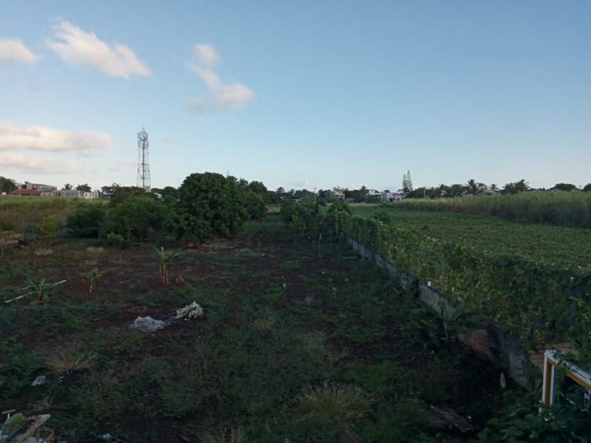 Terrain agricole -50 perches - 2 - Land  on Aster Vender