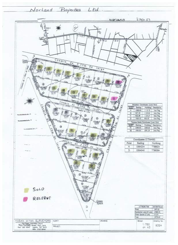 Norland Aster Vender Land