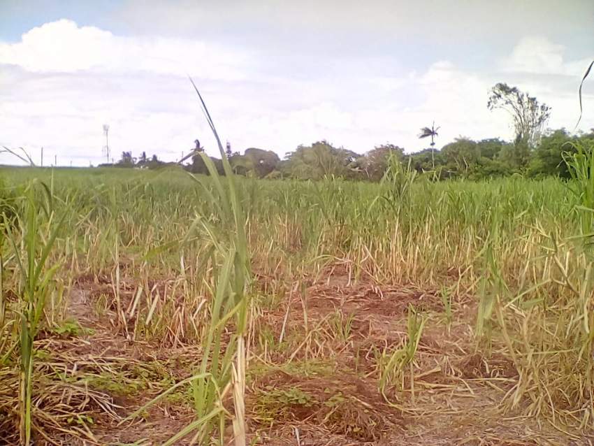 Land at Gokhoola - 0 - Land  on Aster Vender