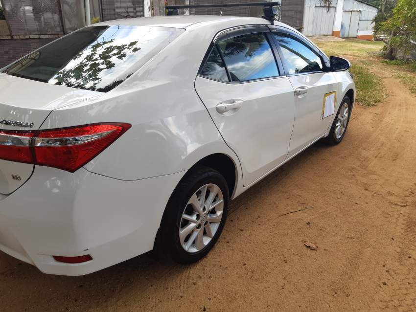 Toyota Corolla - 10 - Family Cars  on Aster Vender