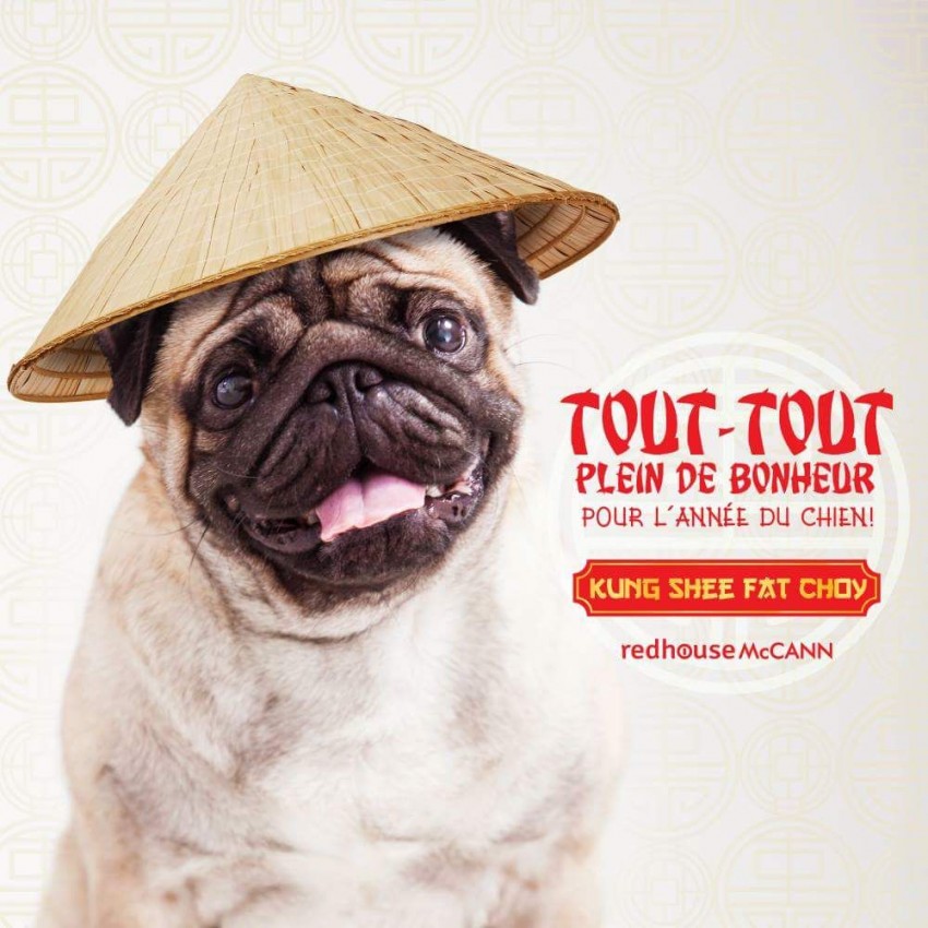 Commercial  land of 1 arpent and 6 perches - 0 - Land  on Aster Vender