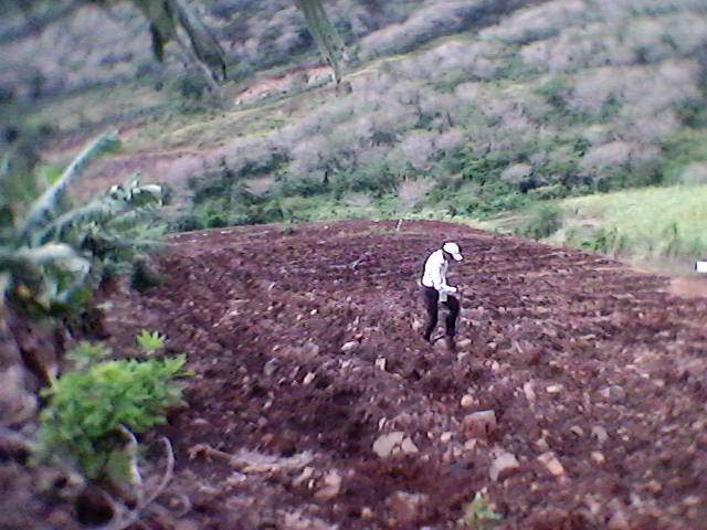 Agricultural land  - 0 - Land  on Aster Vender