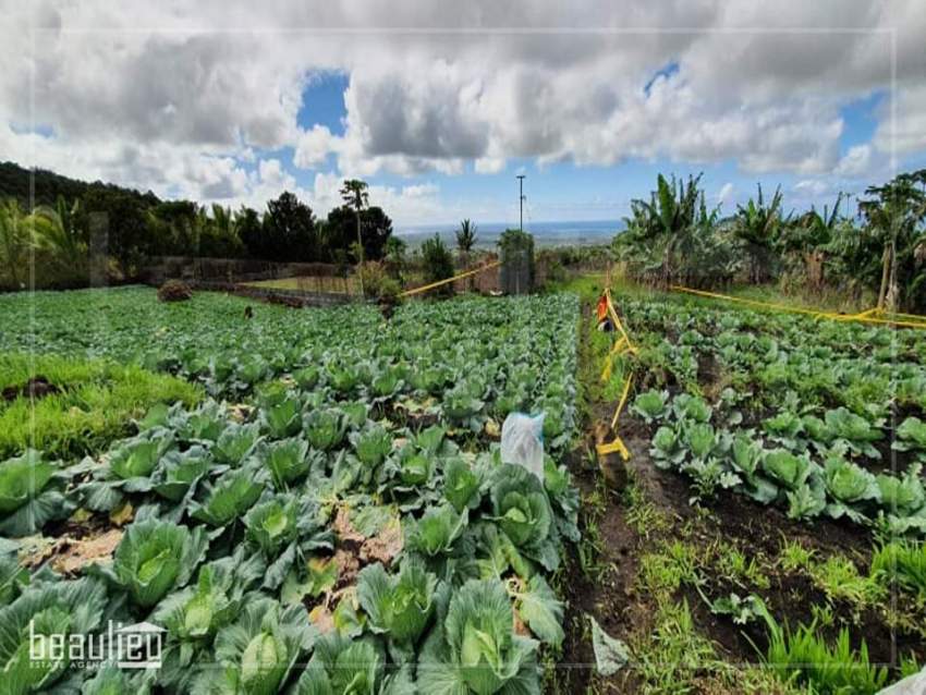 Agricultural land of 33 perches is for sale in Pont Bondieu - 0 - Land  on Aster Vender