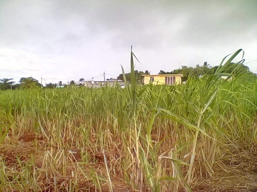 Land at Gokhoola - 0 - Land  on Aster Vender