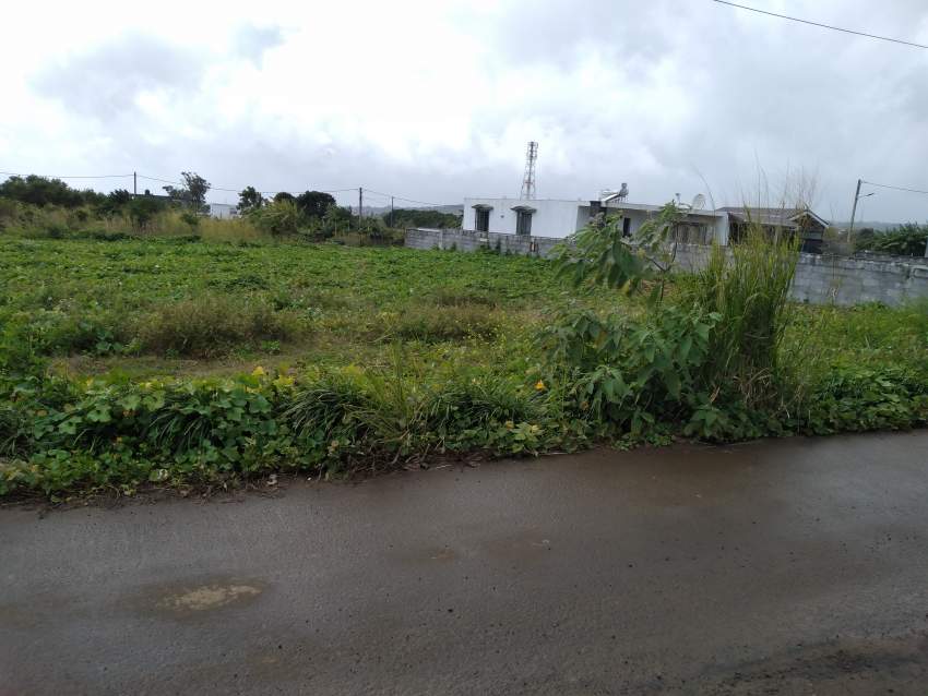 Land - 1 - Land  on Aster Vender