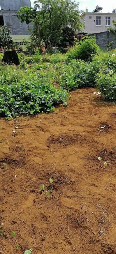 Terrain a vendre a Henrietta - 14 perche - 0 - Land  on Aster Vender