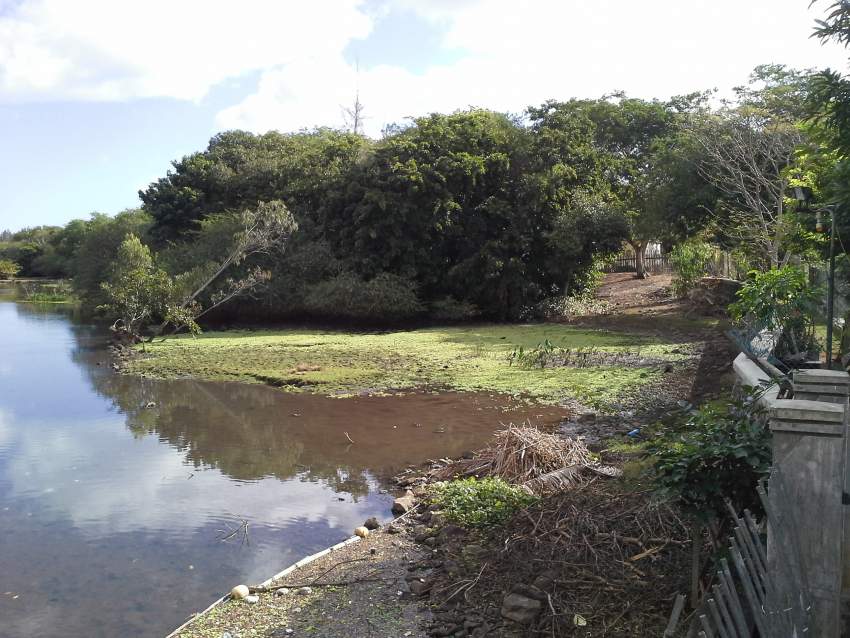 Apartment - 7 - Apartments  on Aster Vender