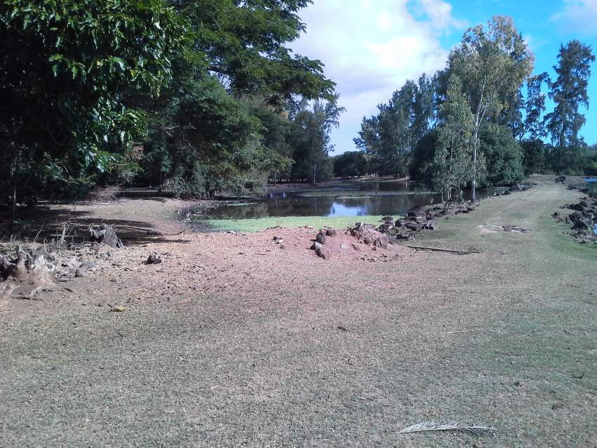 Apartment - 8 - Apartments  on Aster Vender