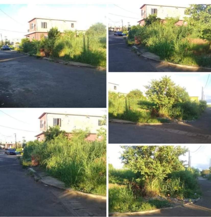 Land  - 0 - Land  on Aster Vender