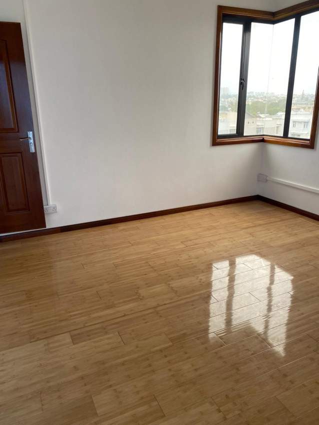 Kensington Heights Brand New Apartment - 1 - Apartments  on Aster Vender