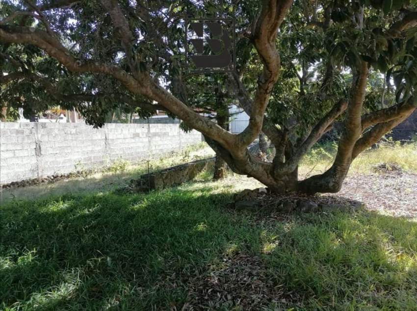 17 perches plot @ Royal Road, Roche Terre @ Rs 3,500,000 nego - 1 - Land  on Aster Vender