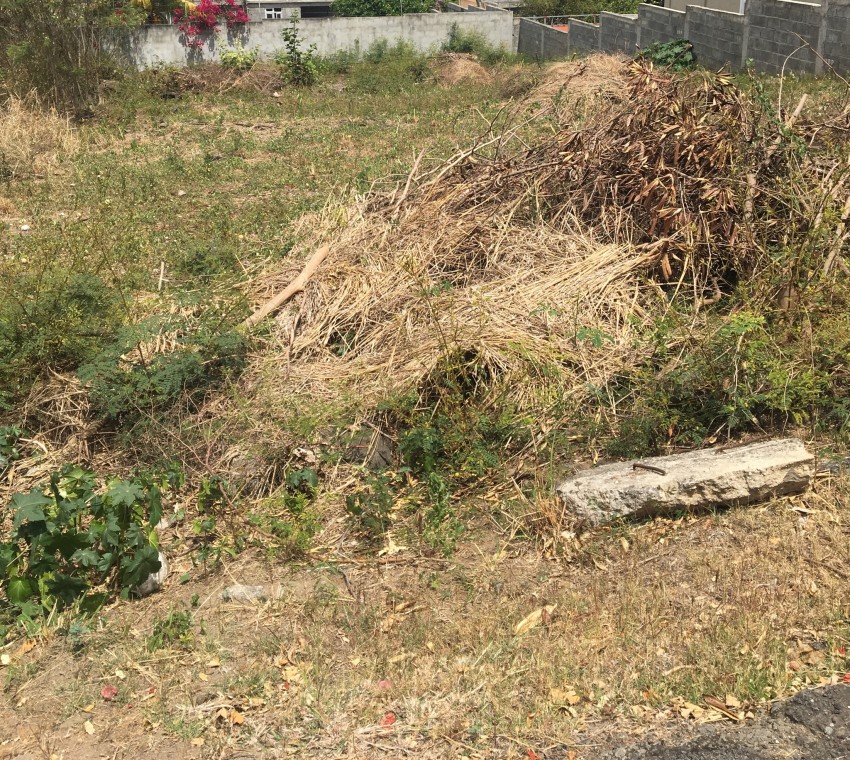 À vendre 110ts rivière noire - 2 - Land  on Aster Vender