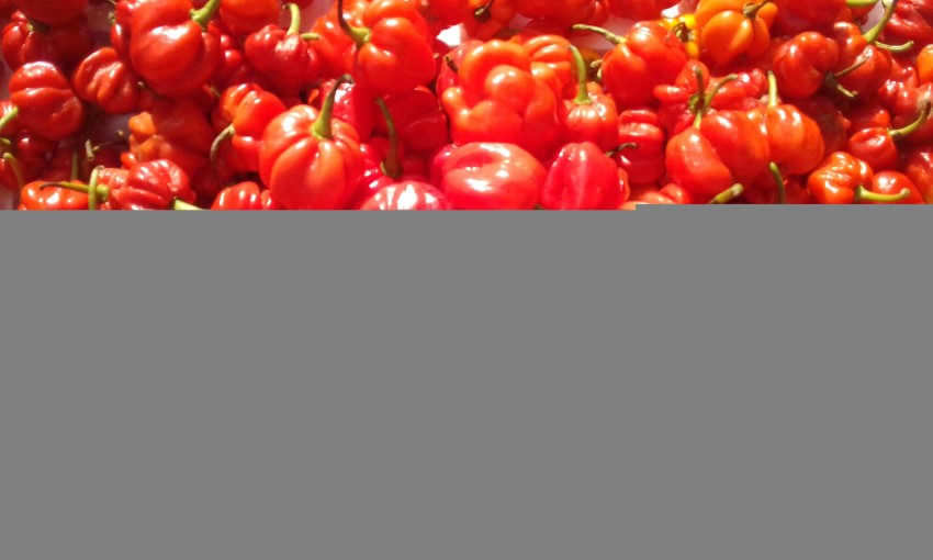 DEMANDE A ACHETER FRUITS ET LEGUMES - 0 - Fruits  on Aster Vender