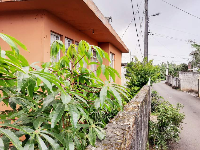 2 Bedroom House at New Grove - 1 - House  on Aster Vender