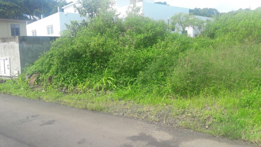 Land at Ripailles - 0 - Land  on Aster Vender