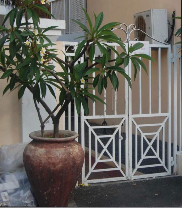 Studio1 sable dor flic en flac - 1 - Apartments  on Aster Vender