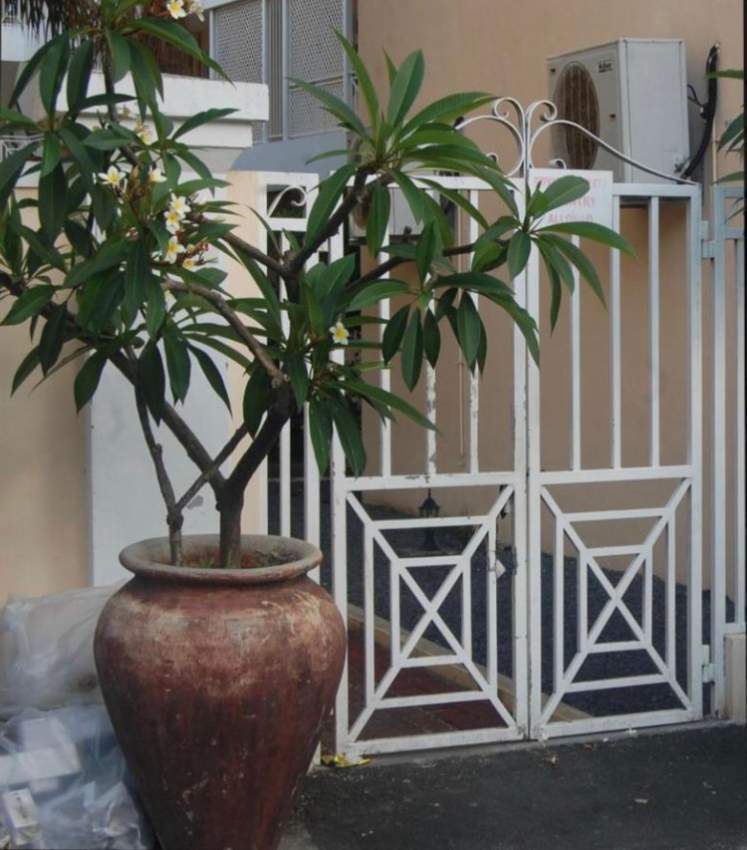 Studio1 sable dor flic en flac - 6 - Apartments  on Aster Vender