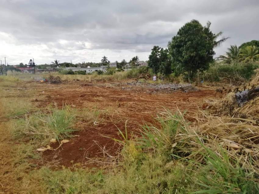 Residential Land - 0 - Land  on Aster Vender