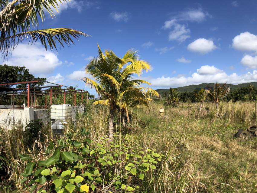 Agricultural Land - Clemencia - 283 perches - 2 - Land  on Aster Vender