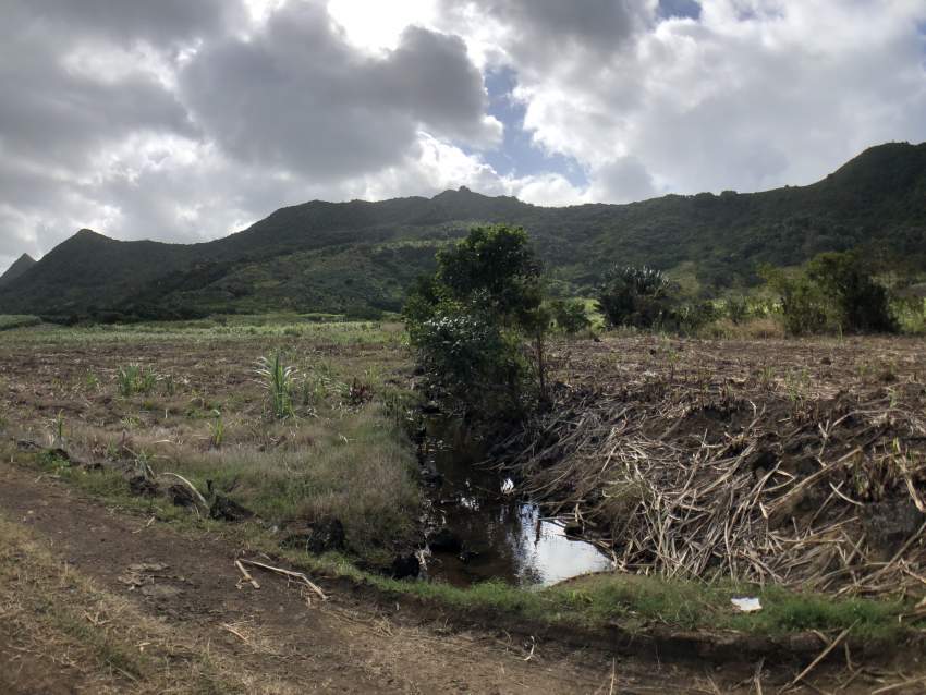 Agricultural Land - Clemencia - 283 perches - 5 - Land  on Aster Vender