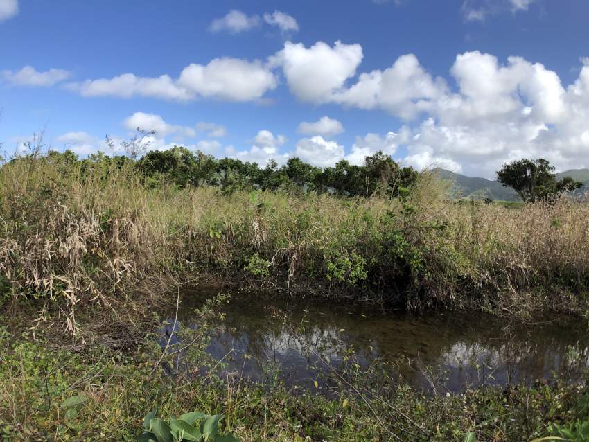 Agricultural Land - Clemencia - 283 perches - 0 - Land  on Aster Vender