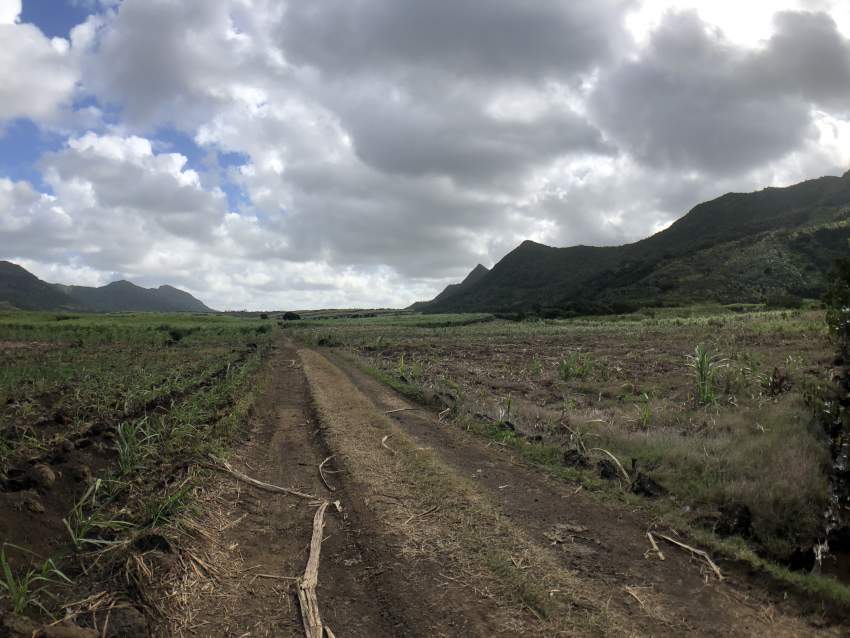 Agricultural Land - Clemencia - 283 perches - 6 - Land  on Aster Vender