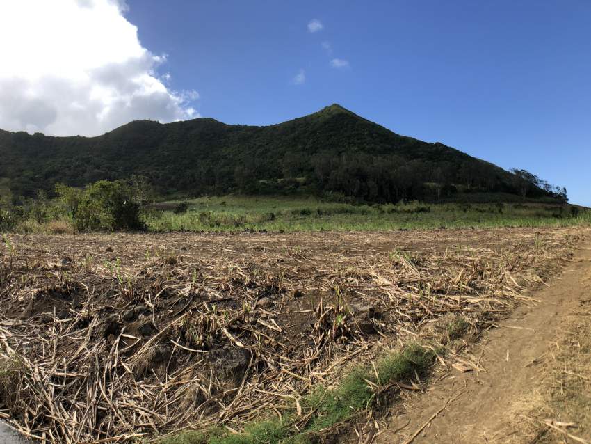 Agricultural Land - Clemencia - 283 perches - 7 - Land  on Aster Vender