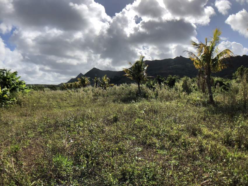 Agricultural Land - Clemencia - 283 perches - 1 - Land  on Aster Vender