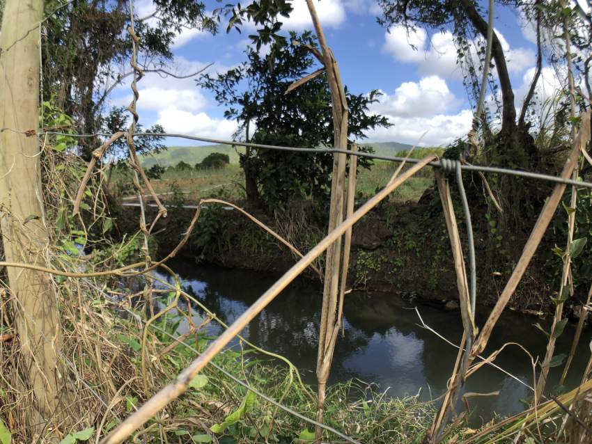 Agricultural Land - Clemencia - 283 perches - 3 - Land  on Aster Vender