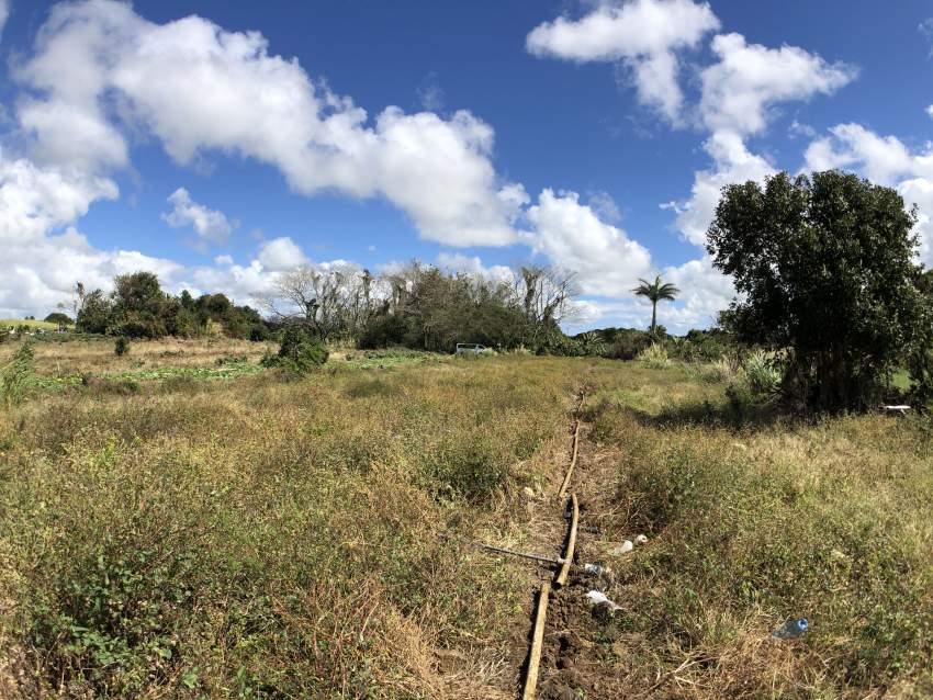 Flacq - Agricultural Land - 66 perches - 6 - Land  on Aster Vender