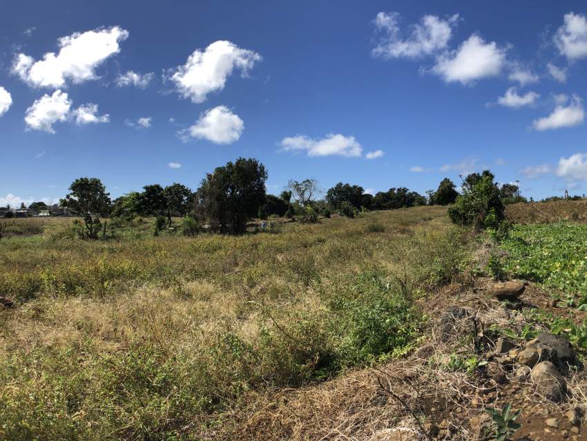 Flacq - Agricultural Land - 66 perches - 2 - Land  on Aster Vender