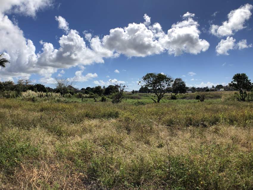 Flacq - Agricultural Land - 66 perches - 1 - Land  on Aster Vender