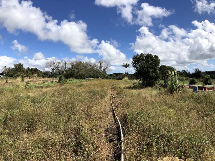 Flacq - Agricultural Land - 66 perches - 5 - Land  on Aster Vender