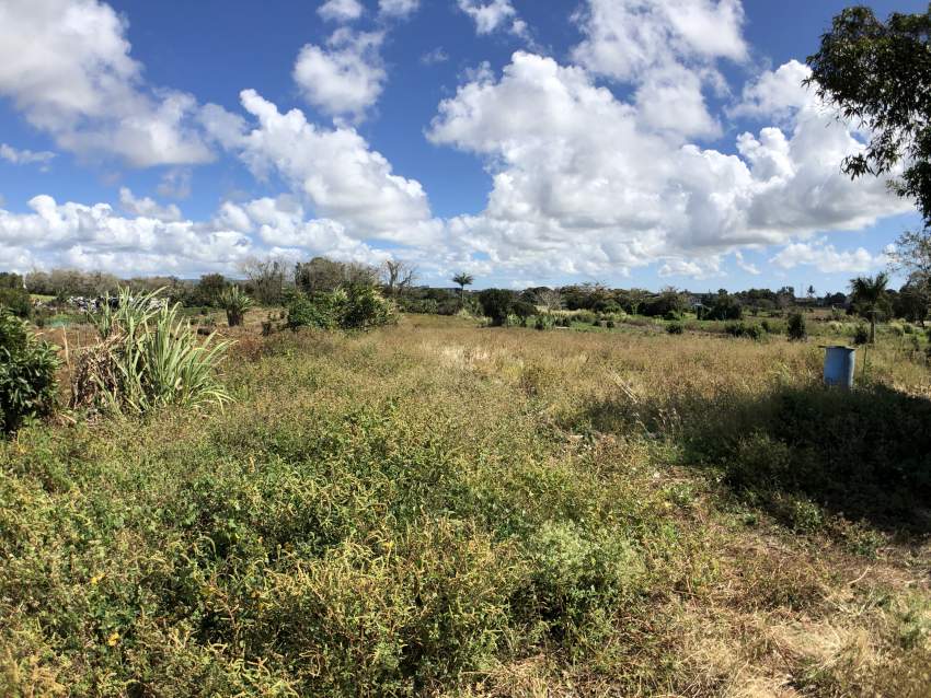 Flacq - Agricultural Land - 66 perches - 4 - Land  on Aster Vender