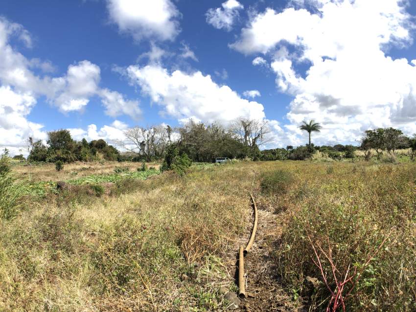 Flacq - Agricultural Land - 66 perches - 3 - Land  on Aster Vender