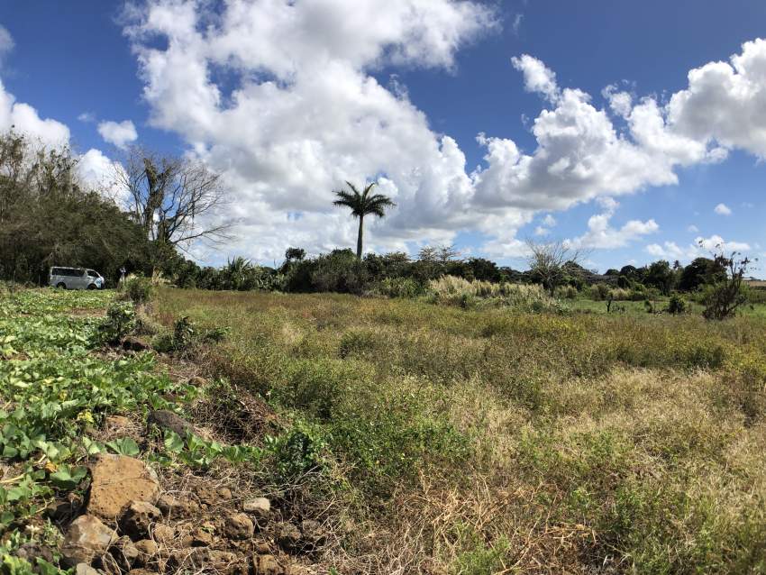 Flacq - Agricultural Land - 66 perches - 0 - Land  on Aster Vender