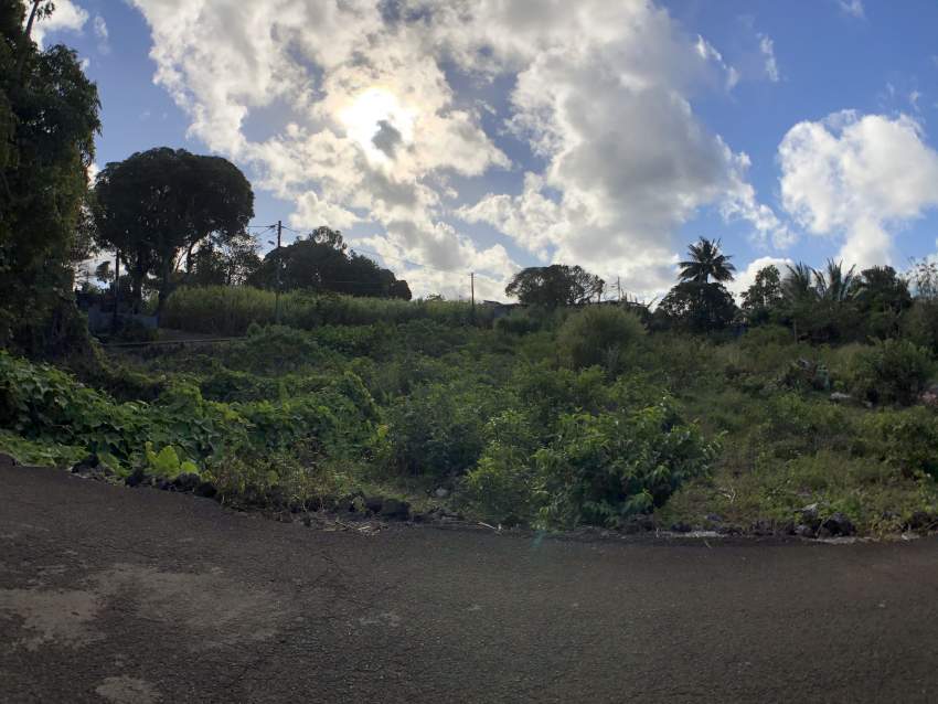 Bois D'oiseaux - Flacq - Terrain Residentiel - 434.54m2 - 4 - Land  on Aster Vender