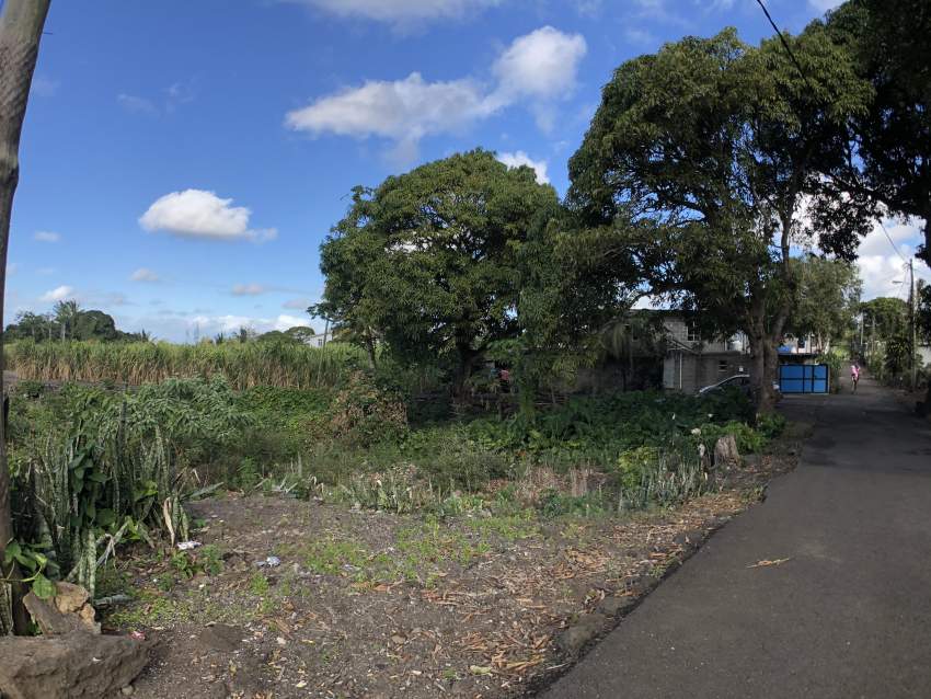 Bois D'oiseaux - Flacq - Terrain Residentiel - 434.54m2 - 1 - Land  on Aster Vender