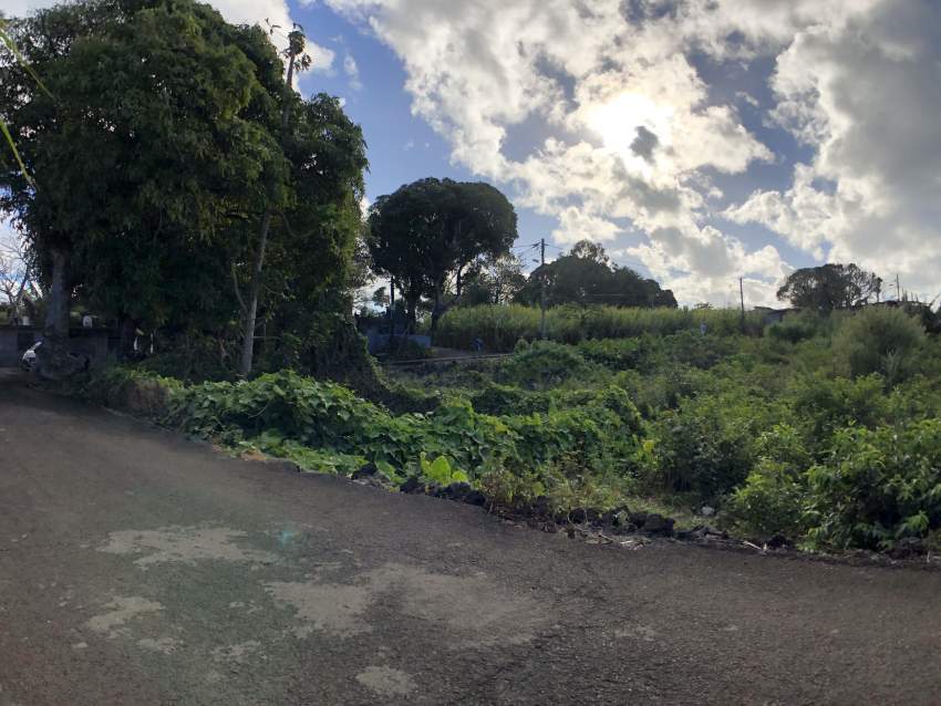 Bois D'oiseaux - Flacq - Terrain Residentiel - 434.54m2 - 3 - Land  on Aster Vender