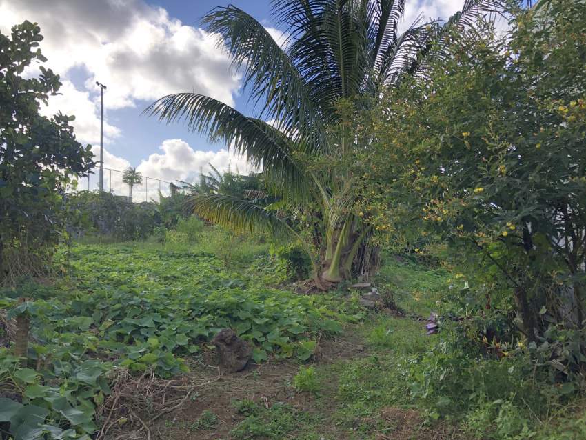 Lallmatie - Residential Land - 523 M2 - 1 - Land  on Aster Vender